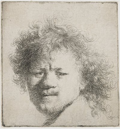 Auto-retrato com cabelos longos e espessos: apenas a cabeça, ca 1631. de Rembrandt van Rijn