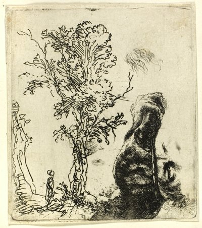 Folha com dois estudos: uma árvore e a parte superior da cabeça do artista usando um gorro de veludo de Rembrandt van Rijn
