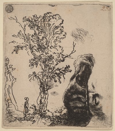 Folha com dois esboços: uma árvore e a parte superior da cabeça do artista, com um gorro de veludo de Rembrandt van Rijn