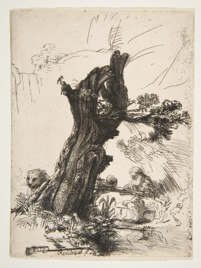 São Jerônimo ao lado de um Pollard Willow, 1648. de Rembrandt van Rijn