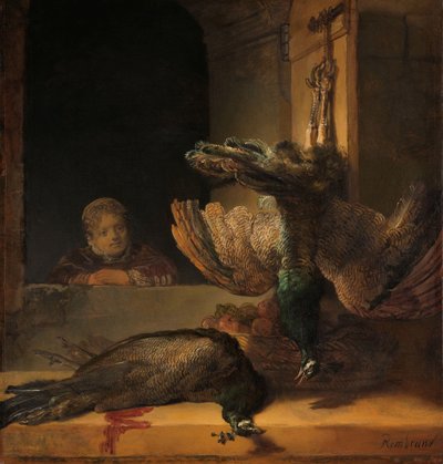 Natureza morta com pavões Natureza morta com pavões mortos de Rembrandt van Rijn