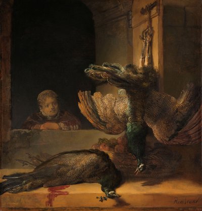 Ainda vida com pavões, c.1639 de Rembrandt van Rijn