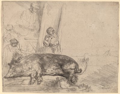 O porco de Rembrandt van Rijn