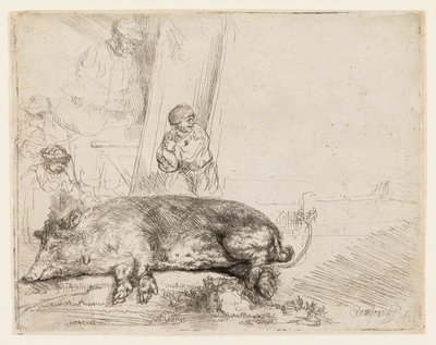 O porco de Rembrandt van Rijn