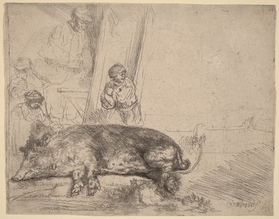 O Porco de Rembrandt van Rijn