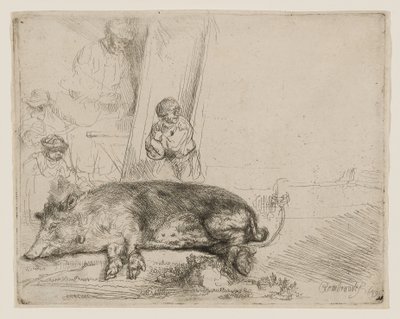 O Porco de Rembrandt van Rijn