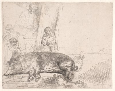 O porco de Rembrandt van Rijn