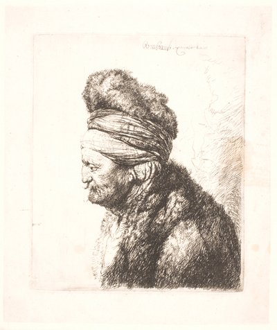 A segunda cabeça oriental (pai de Rembrandt?) de Rembrandt van Rijn