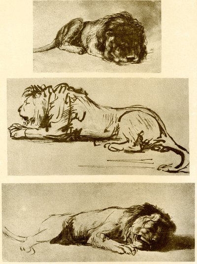 Três estudos de leão de Rembrandt van Rijn