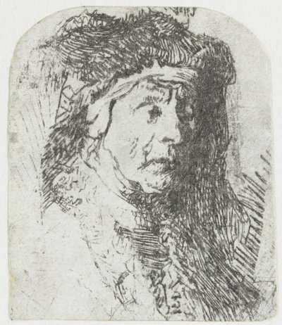 Mulher com um manto de peles aparadas
Busto de uma mulher idosa com um manto peludo e um pesado toucado de Rembrandt van Rijn