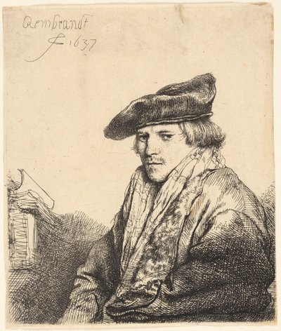 Jovem em um boné de veludo (Ferdinand Bol?) de Rembrandt van Rijn