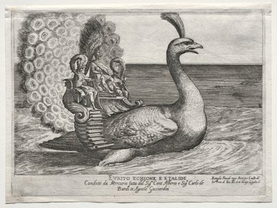 Combate naval Representado no rio Arno, em Florença, para o casamento de Cosimo di Medici, 1608. de Remigio Cantagallina
