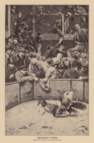Luta de galos na Flandres (litografia) de Remy Cogghe