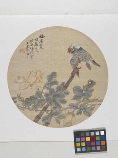 Flower And Bird (tinta e cores sobre papel) de Ren Yi (1840 96)