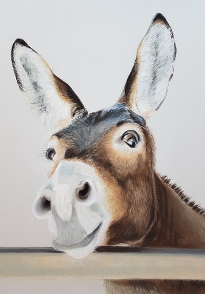 Burro travesso de Renate Dohr