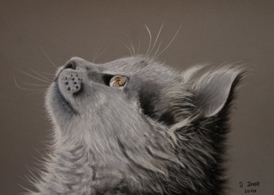 Momento gato de Renate Dohr