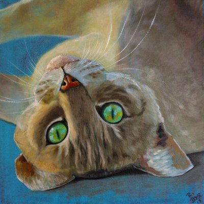 Sorte de gato de Renate Dohr