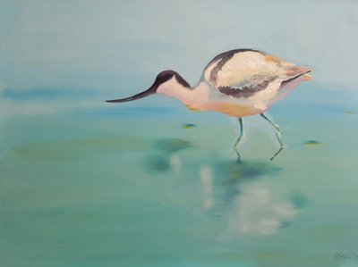 Avocets de Renate Dohr