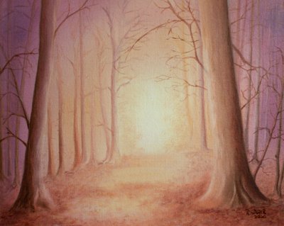 Caminho para a luz de Renate Dohr