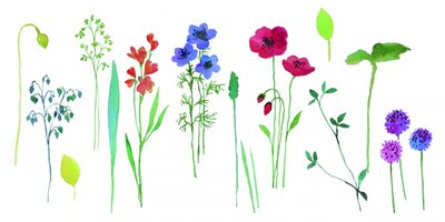 Flores coloridas em aquarela de Renate Holzner