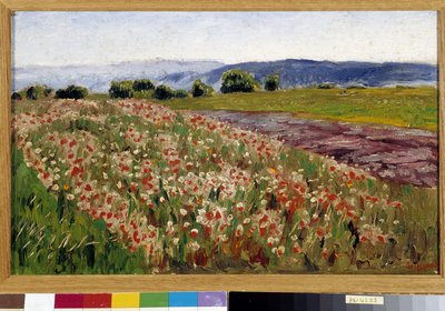 O campo das papoilas (pintura) de Rene Auguste Seyssaud