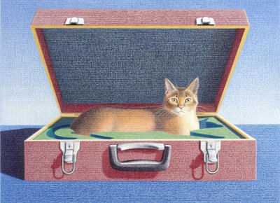 Mala de viagem 2 de Rene Boin