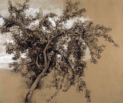 The Charcoal apple tree by Rene Ernest Huet (1876-1914) 1913 Paris, Musee d