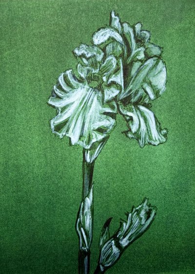 Elegante íris verde de Renee Machan Cottagecore Artist