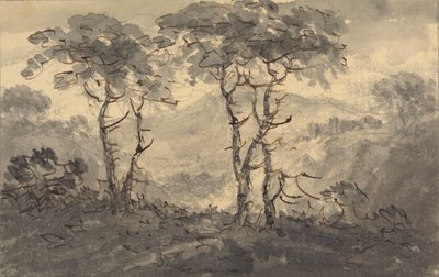 Árvores de Abeto numa Paisagem de Montanha de Rev. William Gilpin