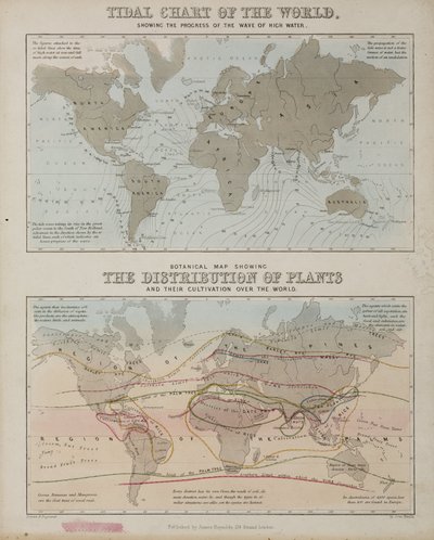 Um mapa de maré e um mapa da distribuição de plantas pelo mundo, c 1850 de John Pardon