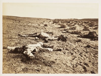 Soldado morto em Tel-el-Kebir, Egipto, 6 de Dezembro de 1882 de John Pardon
