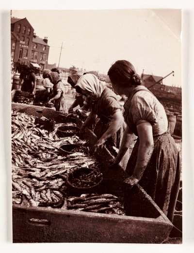 Fishing, Fisherfolk Women sorting fish, Whitby Harbour, North Yorkshire, c 1905 de John Pardon