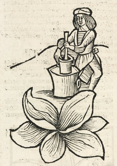 Homem Medieval usando um pilão e argamassa para esmagar plantas de John Pardon