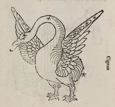 A constelação de Cygnus de John Pardon