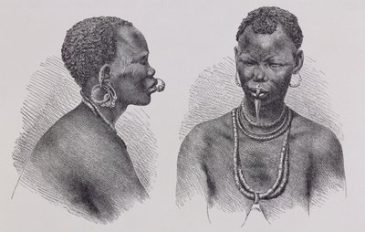 Moru mulher com ornamento labial, de &39;The History of Mankind&39;, vol. III, pelo Prof. Friedrich Ratzel, 1898 de Richard Buchta