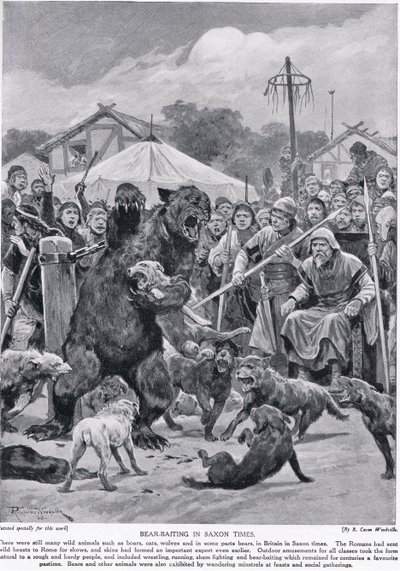 Isca de urso na época dos saxões, da "História da nação britânica" de Hutchison, c.1920 de Richard Caton Woodville