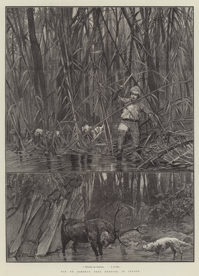Elk or Sambhur Deer Hunting, no Ceilão de Richard Caton Woodville junior