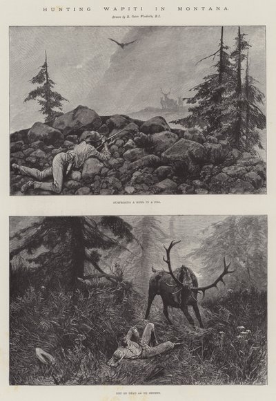 Caça Wapiti em Montana de Richard Caton Woodville junior