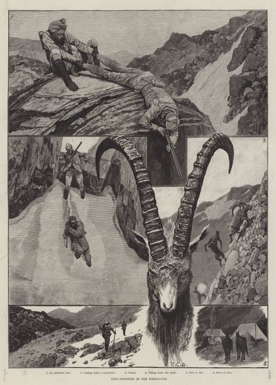 Ibex-tiro na gravura do Himalaia de Richard Caton Woodville junior