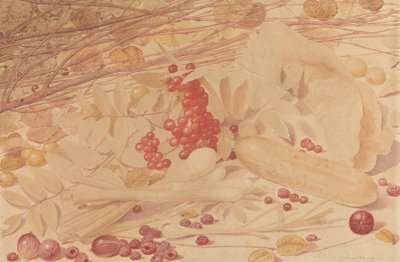 Natureza Morta com Groselhas, Framboesas, Groselhas Vermelhas, Cebolas de Primavera, um Cornicho e Folhagem de Richard Dadd