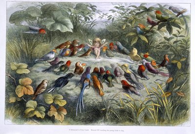 Um elfo e aves de Richard Doyle