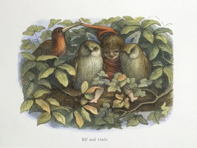 Elfos e corujas de Richard Doyle