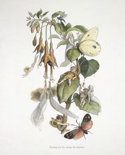 Festa e diversão entre os fuschias de Richard Doyle