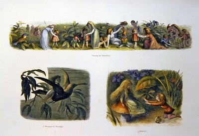 Em Terra de Fadas de Richard Doyle