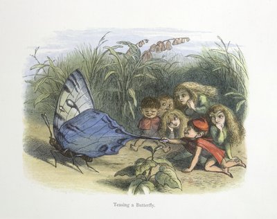Provocando uma borboleta de Richard Doyle