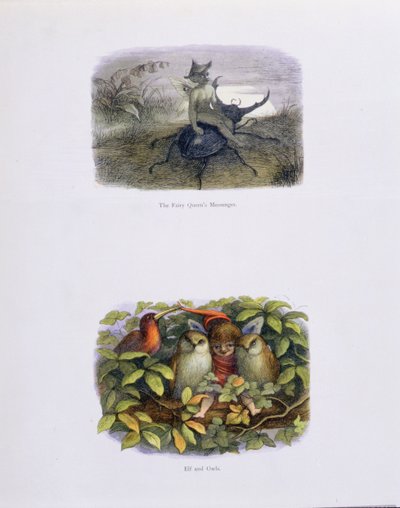 O Mensageiro da Rainha das Fadas, e Elf e Corujas, ilustrações de &39;In Fairyland: Uma Série de Imagens do Mundo Élfico&39; de William Allingham e Andrew Lang de Richard Doyle