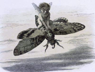 Un elfe chevauchant un papillon. Ilustração de Richard Doyle tiree de "" Na terra das fadas. Uma série de fotos do mundo dos elfos"" acompagnee d