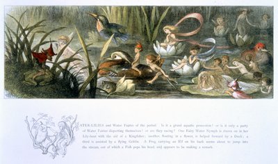 Water-lírios e fadas de água, ilustração de &39;em Fairyland: uma série de imagens do mundo-elfo&39; por William Allingham e Andrew Lang de Richard Doyle