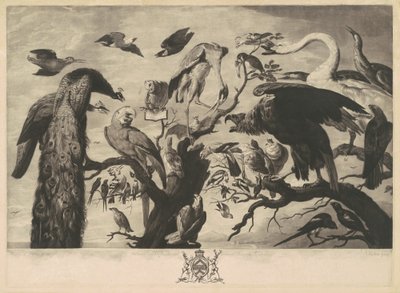 Um concerto de pássaros de Richard Earlom, after Mario Nuzzi