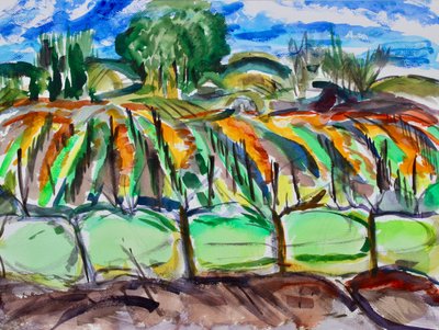 Vinhedos de Outono, Napa, 2017 de Richard Fox